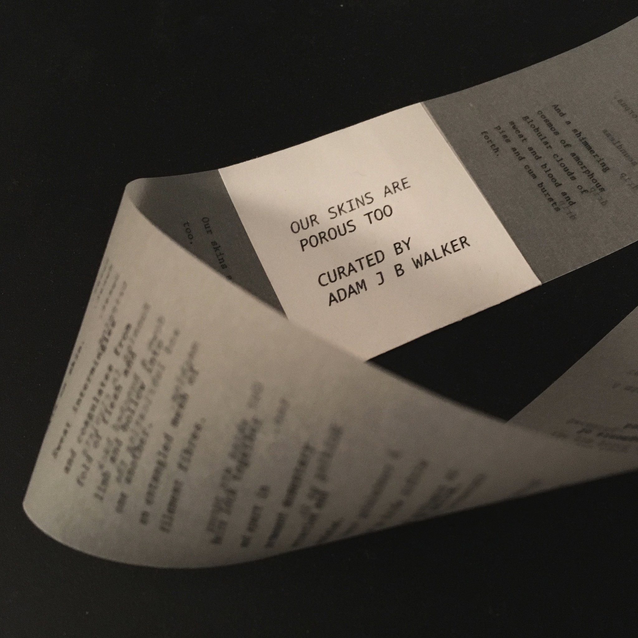 Our Skins are Porous Too invitation