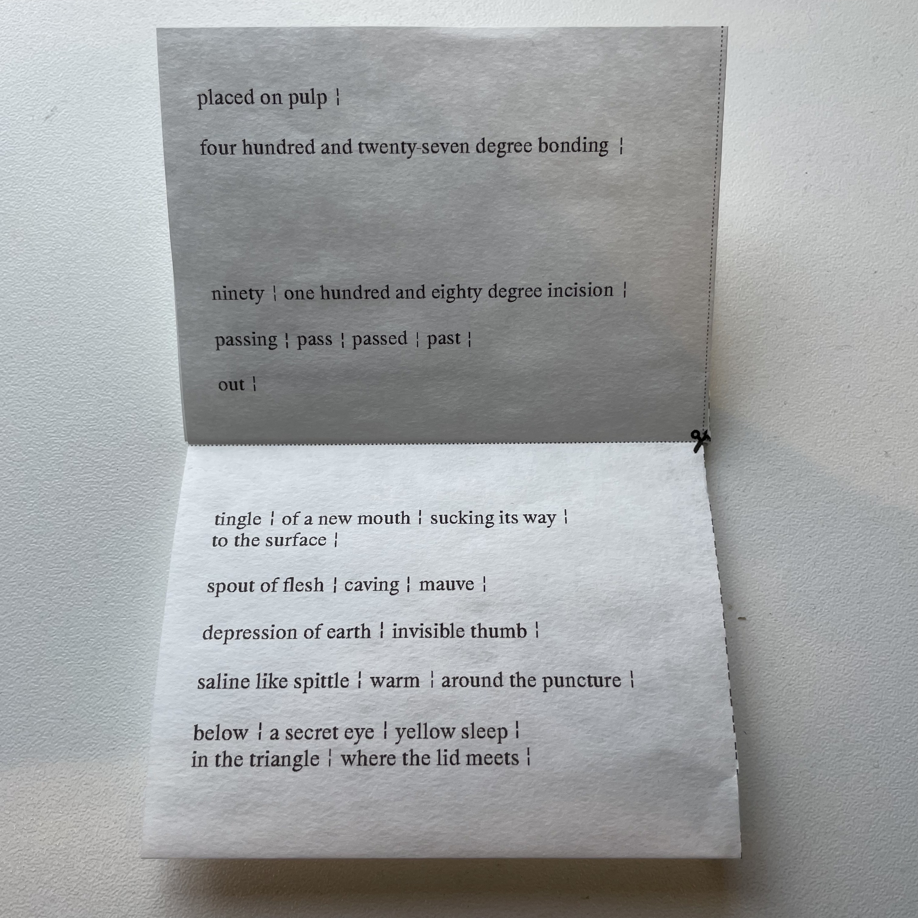 Tissue folded spread 3